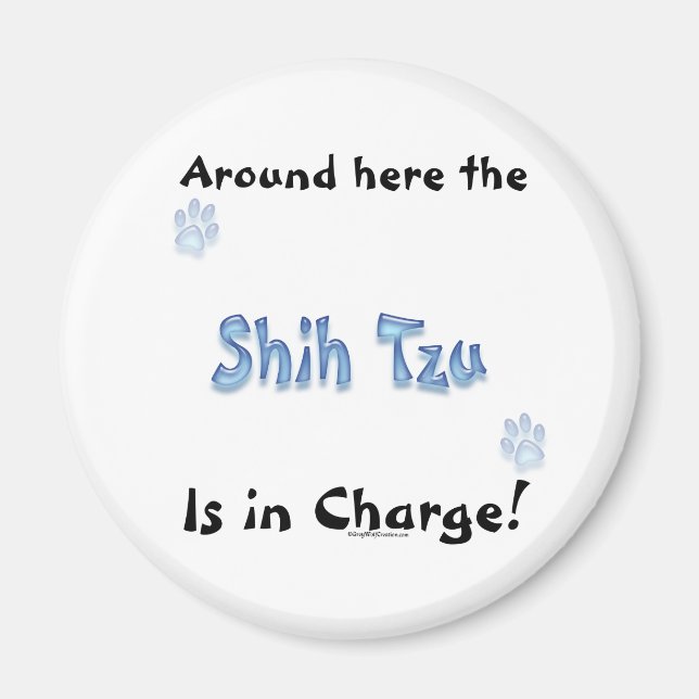 Imán Cargo Shih Tzu - Magnet (Frente)