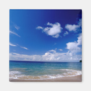 Imán Caribe, Antillas Menores, Indias Occidentales,