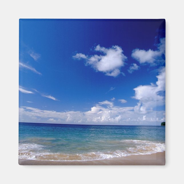 Imán Caribe, Antillas Menores, Indias Occidentales, (Frente)