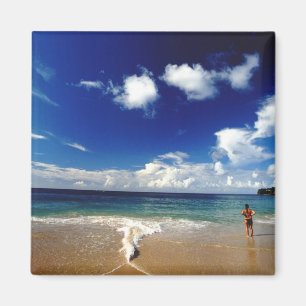 Imán Caribe, Antillas Menores, Indias Occidentales, 2