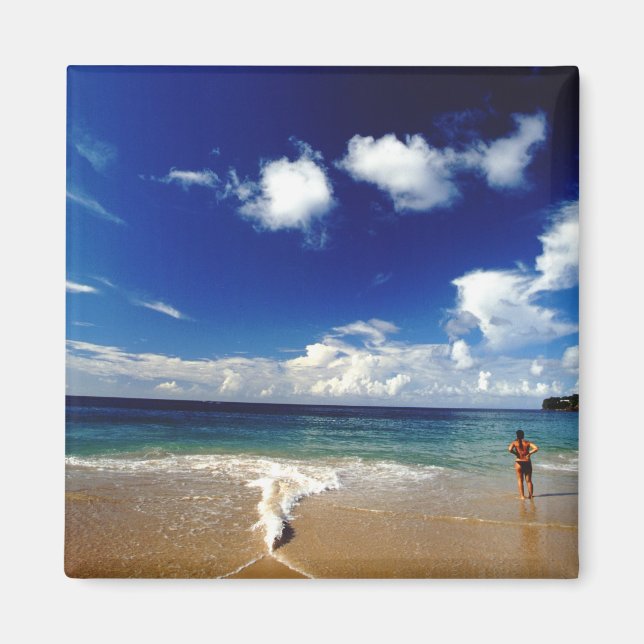 Imán Caribe, Antillas Menores, Indias Occidentales, 2 (Frente)