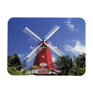Imán Caribe, Aruba. Molino antiguo, convertido en 'Moli