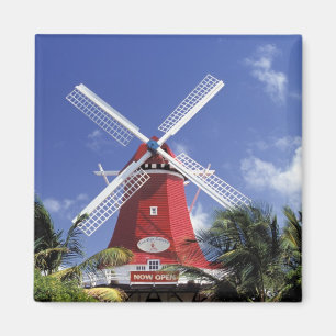 Imán Caribe, Aruba. Molino antiguo, convertido en 'Moli