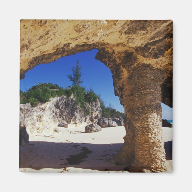 Imán Caribe, Bermudas, Ciudad de Tucker. Beige (Frente)