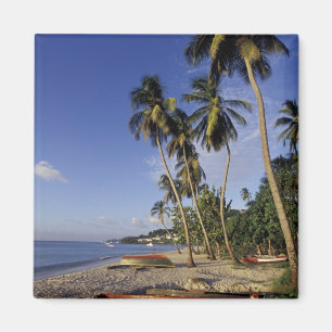 Imán CARIBE, Granada, St. George, barcos en la palma