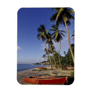 Imán CARIBE, Granada, St. George, Barcos en palmera