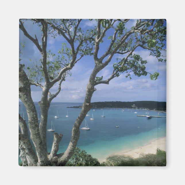Imán Caribe, Isla de Anguilla, Puerto de Road Bay. (Frente)