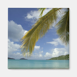Imán Caribe, Islas Vírgenes de los Estados Unidos, St.T