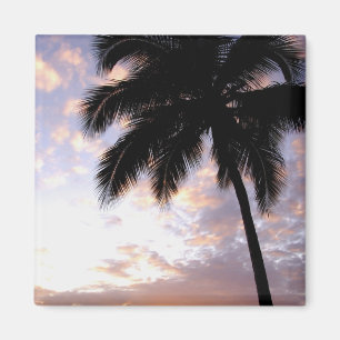 Imán Caribe, Islas Vírgenes de los Estados Unidos, St.T