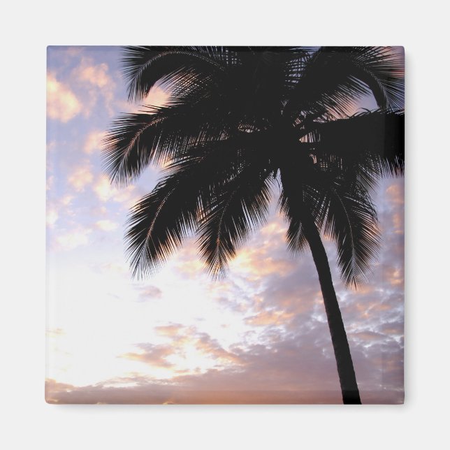 Imán Caribe, Islas Vírgenes Estadounidenses, St.Thomas, (Frente)