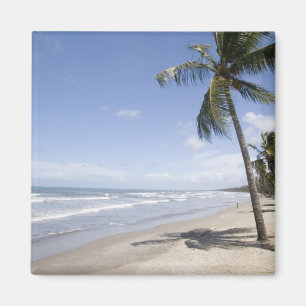 Imán Caribe - Trinidad - Playa Manzanilla en 2