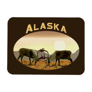 Imán Caribou Duel - Alaska