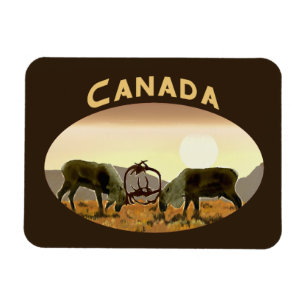 Imán Caribou Duel - Canadá