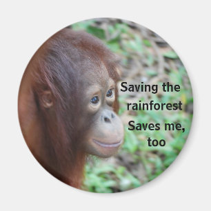 Imán Caridad de vida silvestre de Orangutan