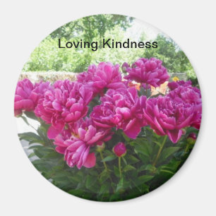 Imán cariñoso del Peony de la amabilidad