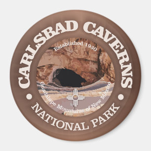 Imán Carlsbad Caverns NP (rd)2