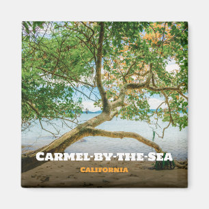 Imán Carmel-by-the-Sea, Condado de Monterey, California