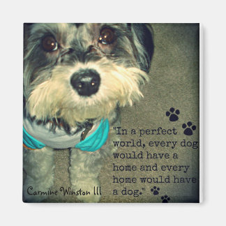 Imán Carmine Winston III - "En un mundo perfecto..." Im