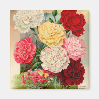 Imán Carnations Seed Packet Magnet