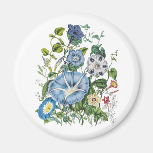 Imán Carnaval de las flores