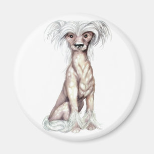 Imán Carne de pelo en reposo china