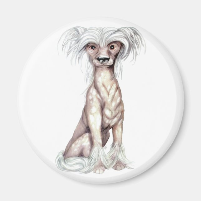 Imán Carne de pelo en reposo china (Frente)