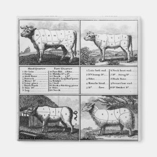 Imán Carne de vaca, ternera, cerdo, y cortes del