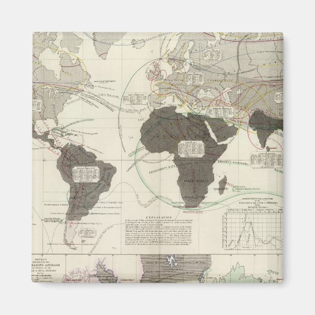 Imán Carnivora (Frente)