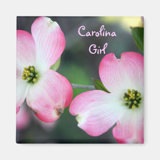 Imán Carolina Chica Pink Dogwood Magnet