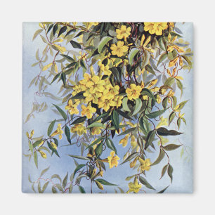 Imán Carolina de época Jessamina Flor Amarilla Floral