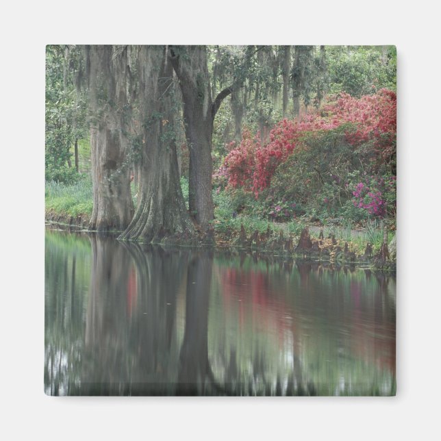 Imán Carolina del Sur, Charleston (Frente)