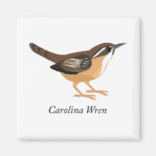 Imán Carolina Wren