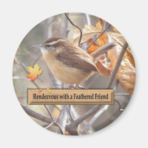 Imán Carolina Wren Birding Magnet.