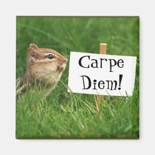 Imán ¡Carpe Diem! Chipmunk con el Rótulo