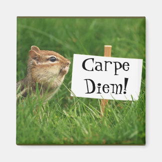 Imán ¡Carpe Diem! Chipmunk con Rótulo