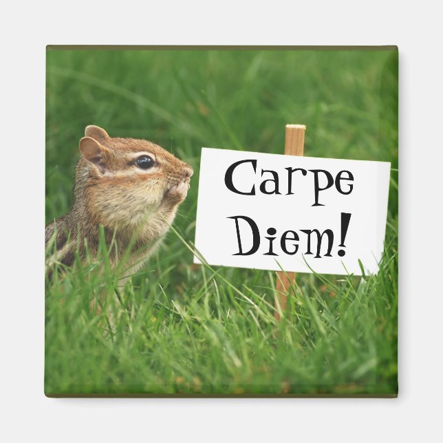 Imán ¡Carpe Diem! Chipmunk con Rótulo (Frente)