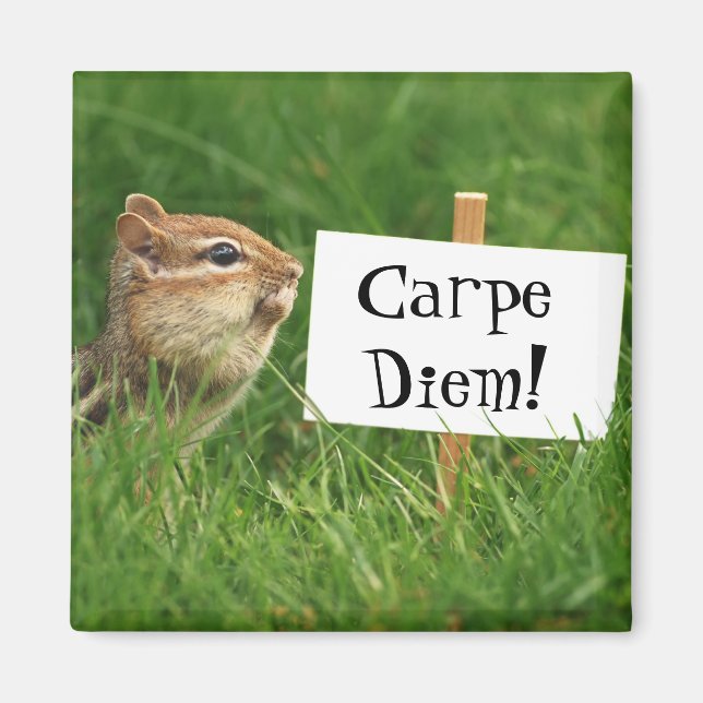 Imán Carpe Diem Chipmunk Magnet (Frente)
