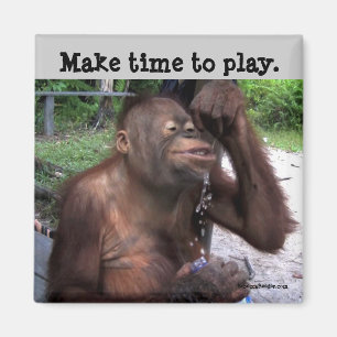 Imán Carpe Diem Cute Wildlife