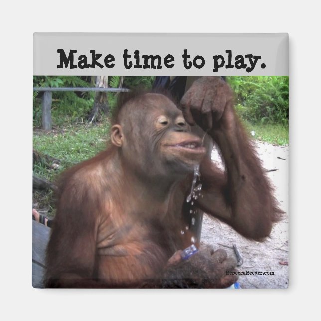 Imán Carpe Diem Cute Wildlife (Frente)