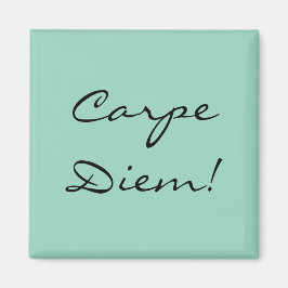 Imán Carpe Diem imnet