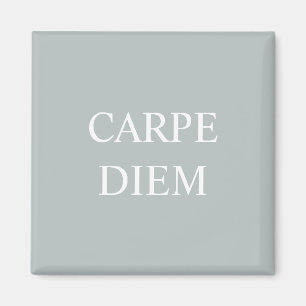 Imán Carpe Diem Latin Quote Magnet