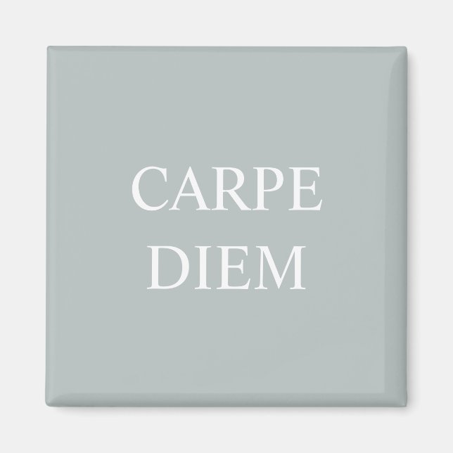 Imán Carpe Diem Latin Quote Magnet (Frente)