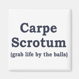 Imán Carpe Scrotum