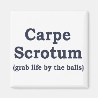 Imán Carpe Scrotum