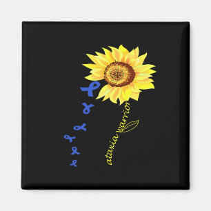 Imán carpeta C:\Users\Administrator\Desktop\New - Copia