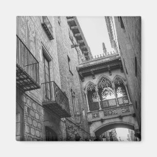 Imán Carrer del Bisbe Magnet: Barcelona