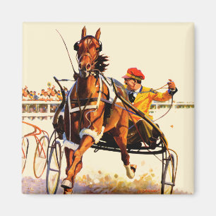Imán Carrera de alambres