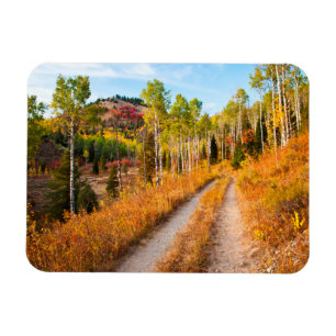 Imán Carretera a través de colores de otoño