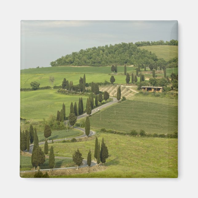 Imán Carretera de Pienza a Montepulciano, (Frente)