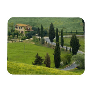 Imán Carretera de Pienza a Montepulciano, 2